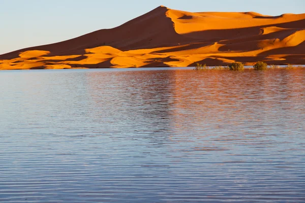 Luz do sol no lago deserto amarelo de — Fotografia de Stock