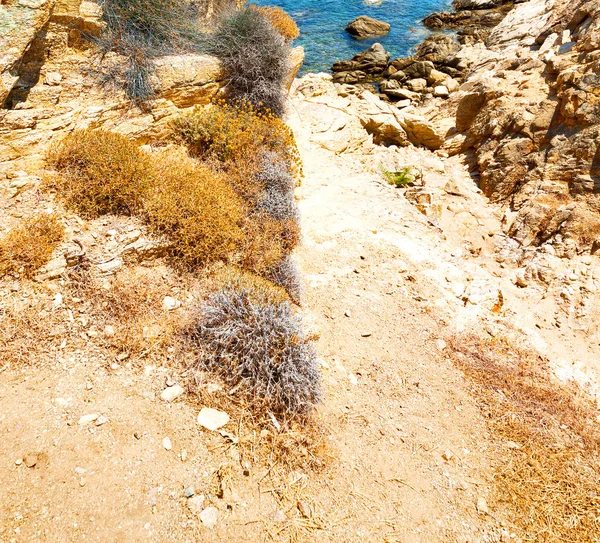 ギリシャ ミコノス島岩海とビーチの青い空 — ストック写真
