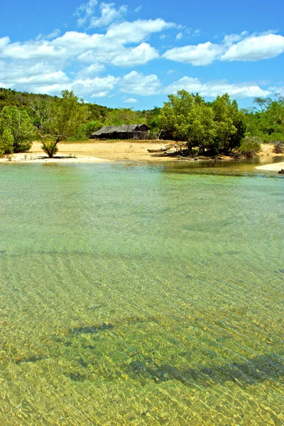 Lagune plage algues dans nosy être indien — Photo