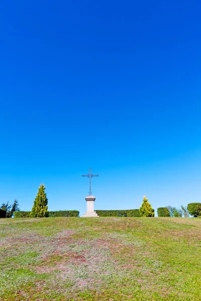 Grama cruz sagrada abstrata na itália europa e árvore — Fotografia de Stock