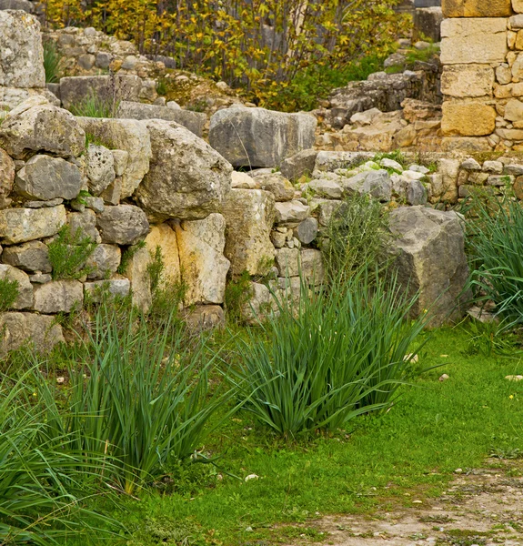 Volubilis i Marocko Afrika gamla romerska sliten monumentet — Stockfoto