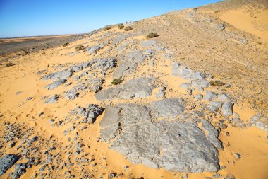  eski fosil sahara ve rock taş gökyüzünde