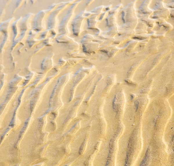 Düne Marokko in Afrika braune Küste nassen Sandstrand in der Nähe von Atlan — Stockfoto