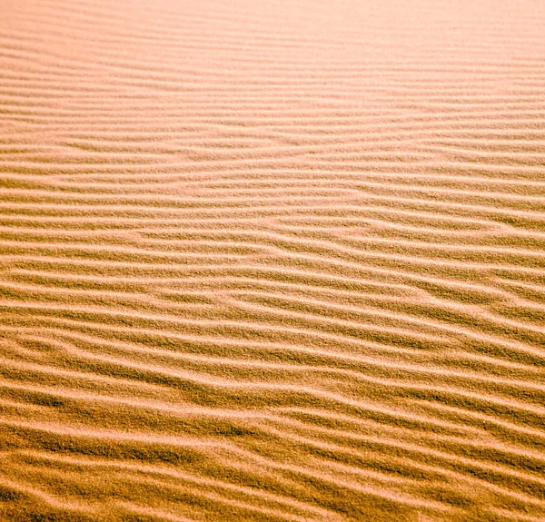 В желтой пустыне морелло одинокого дюнного холма — стоковое фото