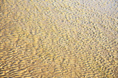 kahverengi kıyı şeridi sahil Okyanusu yakınlarındaki kumul Fas