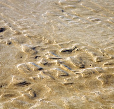 Dune Fas Afrika kahverengi kıyı şeridi atlan ıslak kum plaj