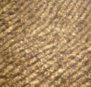 kum ve Güney Çin Denizi ıslak bir plaj soyut Körfezi