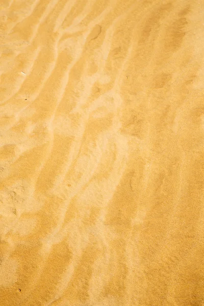 Brązowy dune na Saharze w Maroko — Zdjęcie stockowe