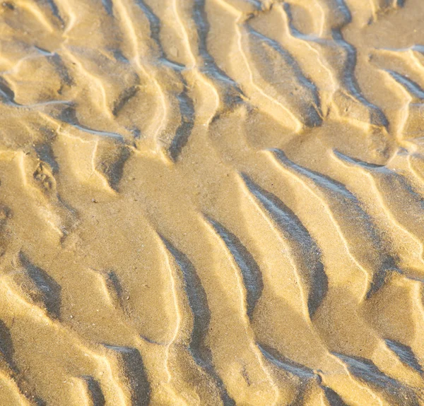 Dune morocco em áfrica costa marrom praia de areia molhada perto de atlan — Fotografia de Stock