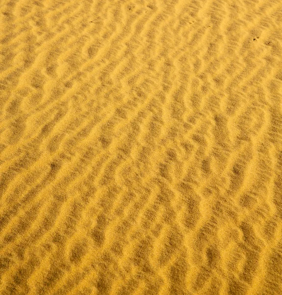 Brązowa wydma na pustyni Sahara Maroco — Zdjęcie stockowe