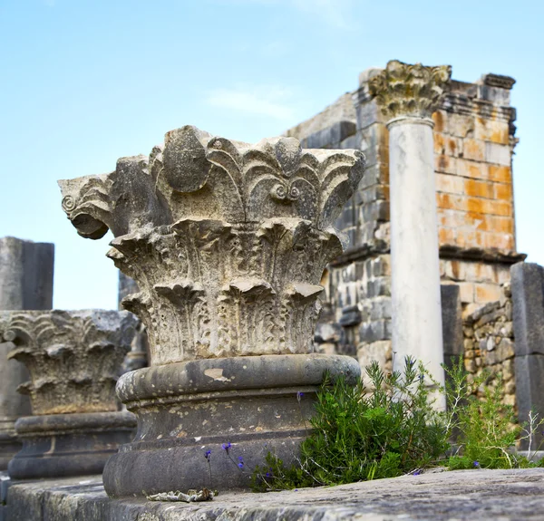 Volubilis em Marrocos África o velho monumento romano deteriorou-se — Fotografia de Stock