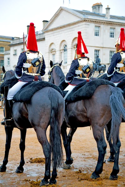 In London Pferd und Kavallerie für Königin — Stockfoto