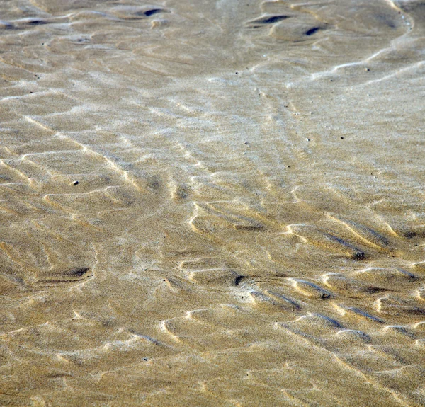 Дюн марокко в Африці коричневе узбережжя лінії мокрий піщаний пляж поблизу атлана — стокове фото