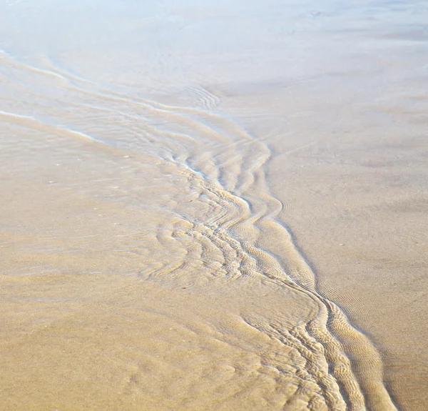 Düne Marokko in Afrika braun blau Atlantik — Stockfoto