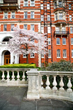 ağacı penceresinde kırmızı tuğla duvar ve tarihi 