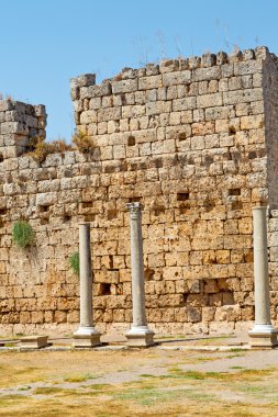  Perge eski tapınakta 