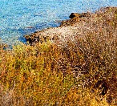Akış köpük ve Akdeniz Yunanistan deniz köpüğü