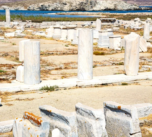 Arbusto em delos grécia a acrópole histórica e velha ruína sentar — Fotografia de Stock