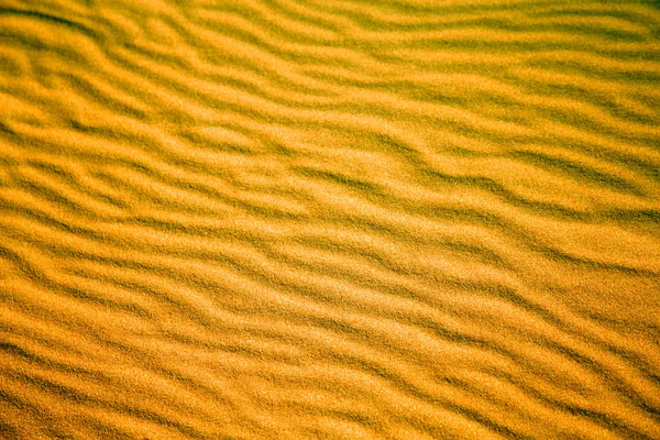 Africa  brown sand dune     desert line — Stock Photo, Image