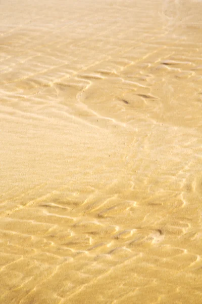 摩洛哥沙丘在非洲靠近大西洋 — 图库照片