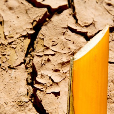 Fas Afrika çöl soyut makro kabuğu kuma kırık