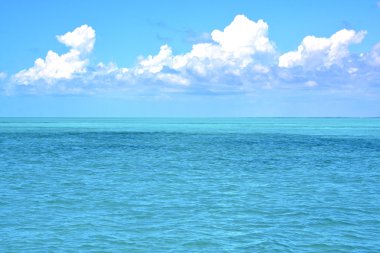 yer dalgaları Meksika mavi