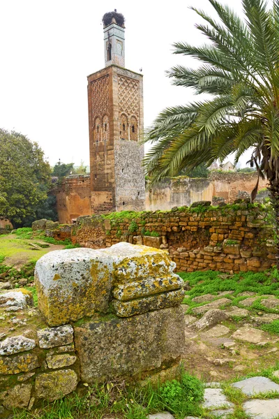 En Marruecos África el antiguo monumento y sitio —  Fotos de Stock