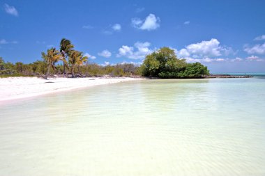 Isla contoy Meksika ve mavi köpük  