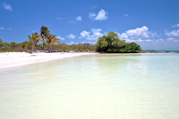 Isla contoy en México y espuma azul — Foto de Stock