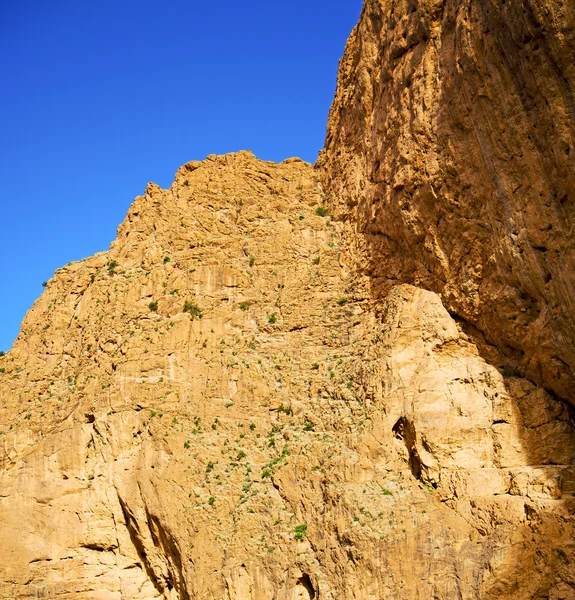 En todra africa marocco l'atlas montagne sèche — Photo