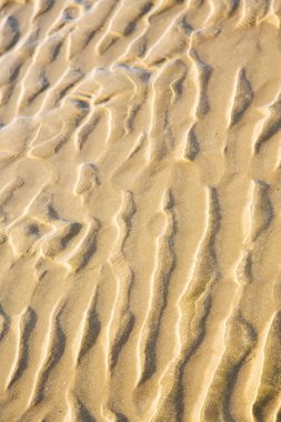 Dune Fas Beach Atlantik yakınlarında  