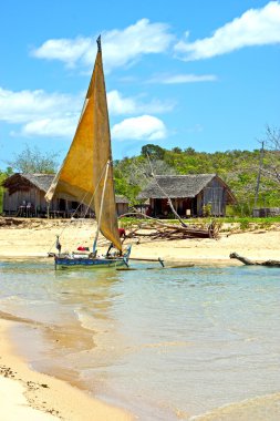 pirogue plaj deniz yosunu Hint Okyanusu ev kaya