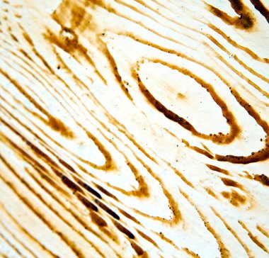 kahverengi ahşap kapı ve paslı öldürülecek kirli soyulmuş boya çivi