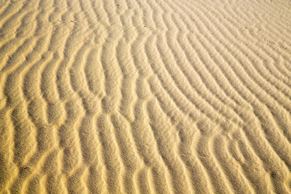 Afrika uitzichtpunt in sahara woestijn Marokko lijn — Stockfoto