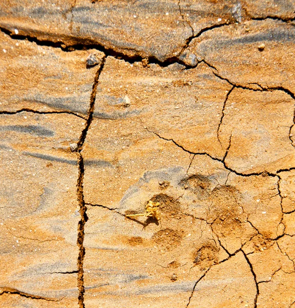 Footstep lanzarote spain abstract texture — Stock Photo, Image