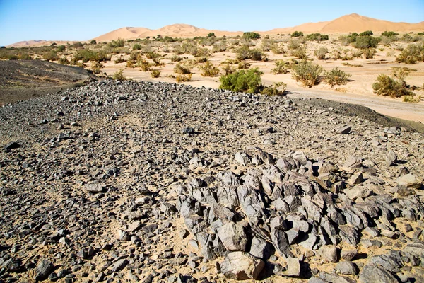 Viejo fósil en el desierto de morocco cielo de piedra — Foto de Stock