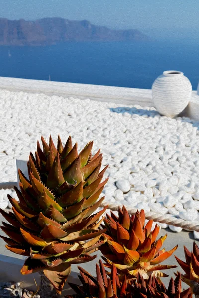 Flowers  in architecture    europe cyclades santorini old town — Stock Photo, Image