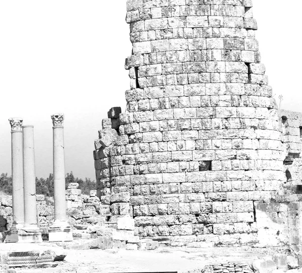 Perge old construction in asia turkey the column  and the roman — Stock Photo, Image