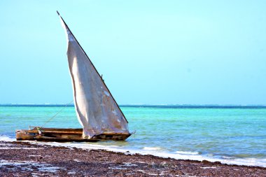 Zanzibar plaj deniz yosunu Hint Okyanusu'nda yelken