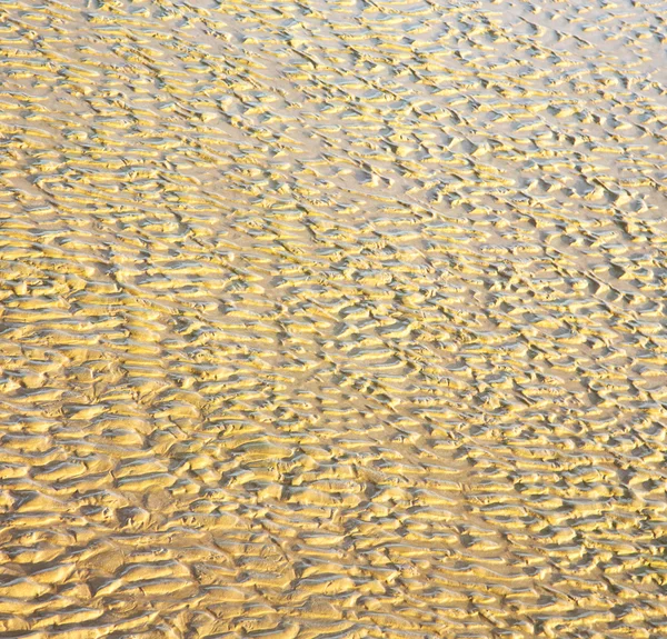 Dune morocco em áfrica costa marrom praia de areia molhada perto de atlan — Fotografia de Stock