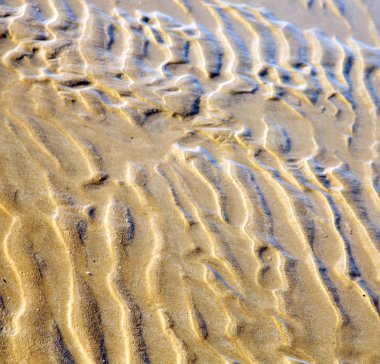 Dune Fas Afrika kahverengi kıyı şeridi atlan ıslak kum plaj
