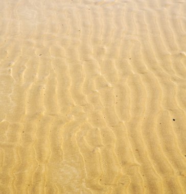 Fas Afrika kahverengi kıyı şeridi Atlantik o ıslak kum plaj