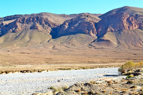 Arbusto en Marruecos África el atlas montaña seca — Foto de Stock