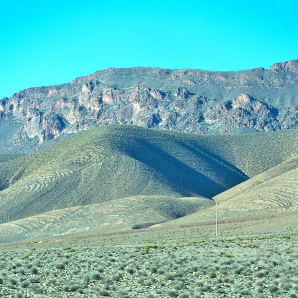 Arbusto marrom no vale morocco áfrica o atlas seco m — Fotografia de Stock