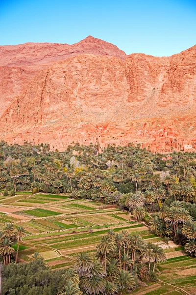 モロッコトードゥラ峡村 — ストック写真