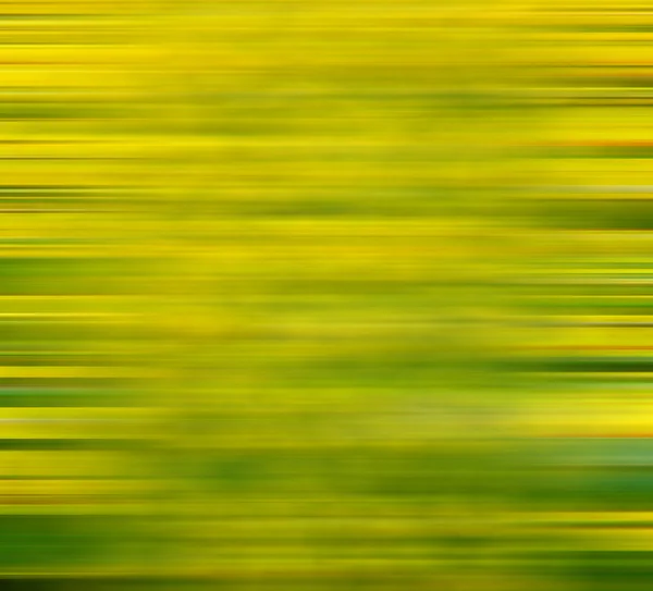 En Londres campo de flores amarillas naturaleza y primavera — Foto de Stock