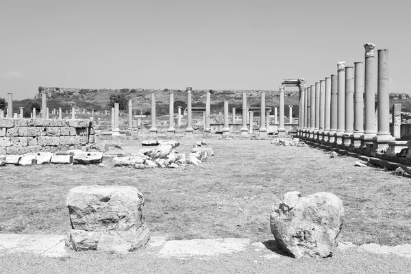 In  perge old construction asia turkey the column  and the roma — Stock Photo, Image