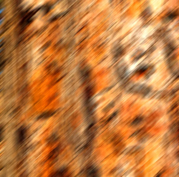Corteccia nell'astratto primo piano di un colore di albero e una struttura — Foto Stock