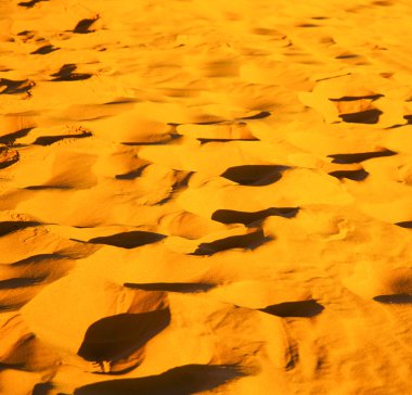 Afrika Sahra Fas çöl doğrultusunda kahverengi kumul