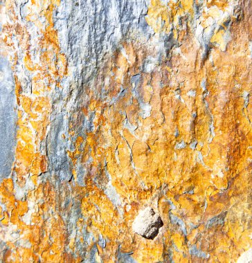 Taş taş ve Fas duvarında kırmızı turuncu gnays